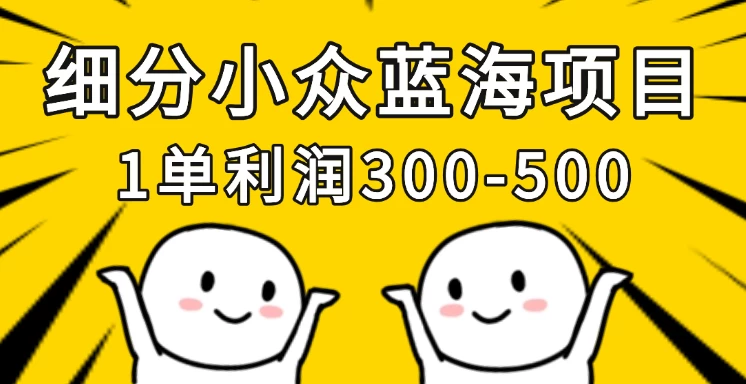 细分小众蓝海项目，一单利润300-500，每月收入稳定4w+ 第1张
